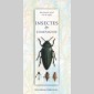 insectes & compagnie 