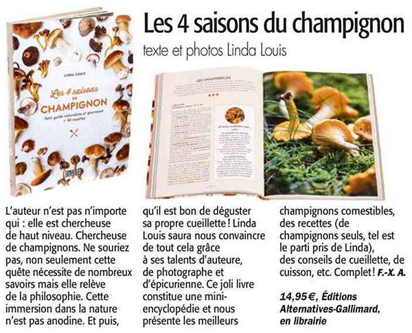 Les 4 saisons champignon Connaissance de la chasse