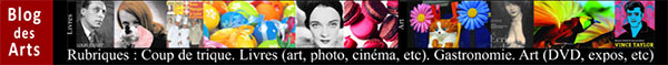 blogdesarts.com accueil