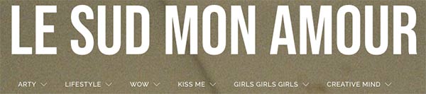 Le Sud mon amour logo