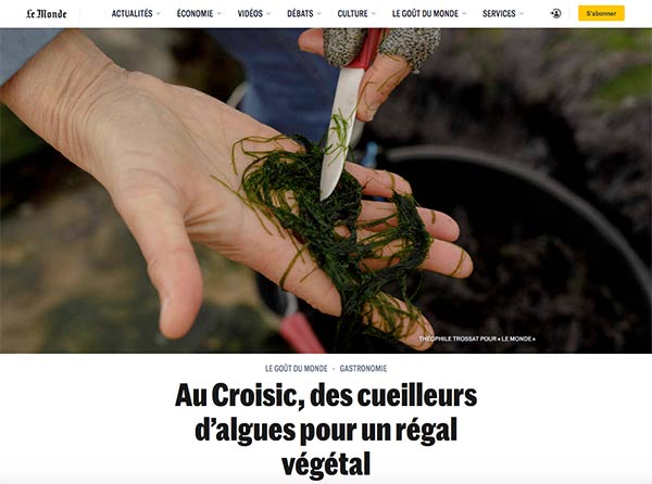 Algues au quotidien in Le Monde.fr