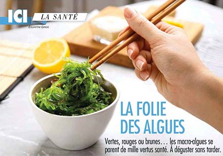 Algues au quotidien Ici Paris