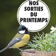nos sorties du printemps