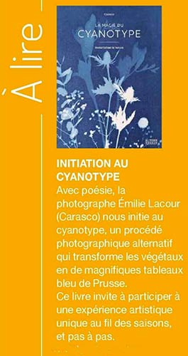 Cyanotype Prima