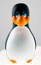 Pingouin sextoys