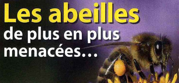 Nous deux Abeilles