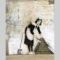 guerre et spray
