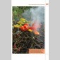 mon potager tranquille
