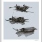 habitats nomades (2011)
