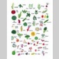 recettes des 3 surs pour jeunes fauchs gourmands