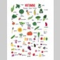 recettes des 3 surs pour jeunes fauchs gourmands