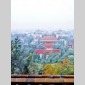 petite histoire du jardin et du paysage en ville 