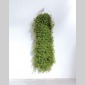 vgtal design / patrick nadeau