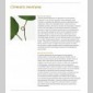 vgtal design / patrick nadeau