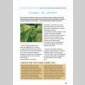 zro pesticide dans mon jardin
