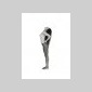 une femme nue 