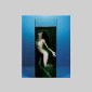une femme nue 