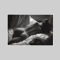 une femme nue 