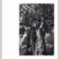 pour le jardin des serres dauteuil