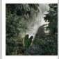 pour le jardin des serres dauteuil