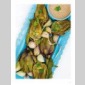 cuissons alternatives