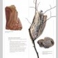 art du livre tactile (l')