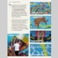 guide du street art  paris 2017