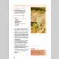 boissons fermentes naturelles (2017)