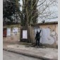 graffeuses