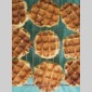 recettes des 3 surs  pour becs sucrs