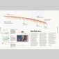 data design