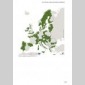 europe par les territoires (l')