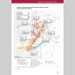 tudiants et universits : acteurs de la ville