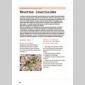 vgtaliser les mini-espaces urbains