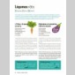 cuisine saine pour petits budgets