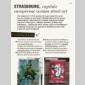 guide dustreet art enfrance