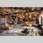 abandoned places