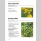 aromathrapie des petits (l)