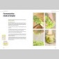 lgumes lacto-ferments