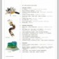 art du livre origami (l')
