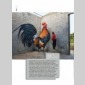 street art contexte(s) nouvel opus