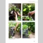 un potager-compost sur ma terrasse