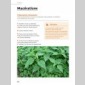 un potager-compost sur ma terrasse
