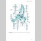 transformation numrique, un dfi socital et territorial