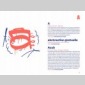 dico de l'art urbain