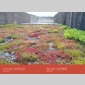 sustainable design 10