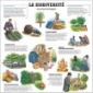 nature retrouve (la)