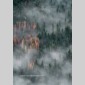 limites plantaires (les)