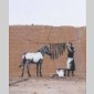 comment banksy revisite l'histoire de l'art