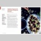mes recettes anti-dysbiose